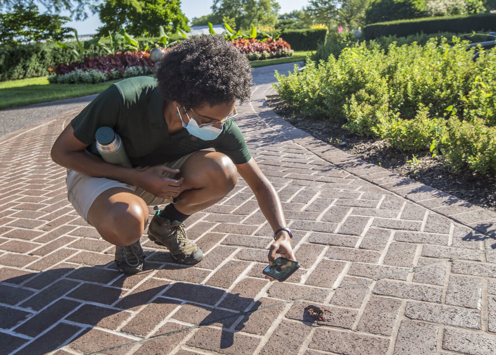 BLACK BOTANISTS